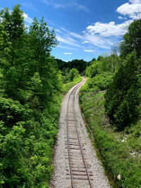 Scenic winding railroad in forest