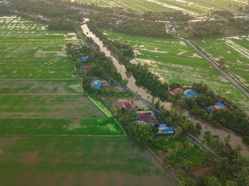 High angle view of agricultural field