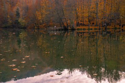 Reflection of trees in lake during autumn