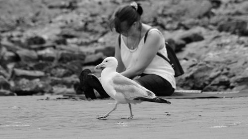 Side view of a bird on beach with woman in background seated