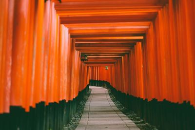 Japanese shrine, torii gates