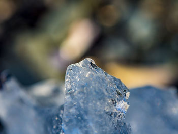 Close-up of frozen water on rock