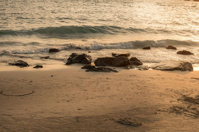 High angle view of rocks on beach