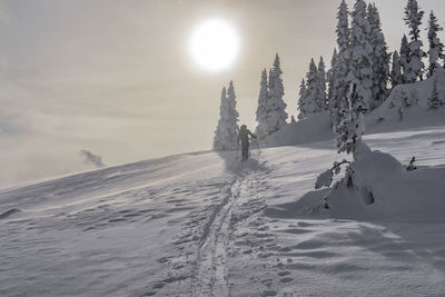 Person skiing on snowy landscape against sky