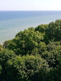 High angle view of trees by sea against sky