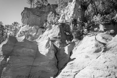 Rock formation amidst trees