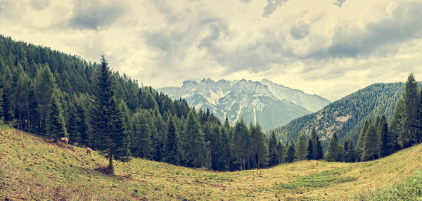 Panoramic view of landscape and mountains against sky