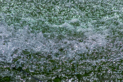 Full frame shot of frozen plants during winter