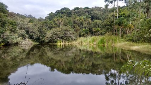 Reflection of trees in lake against sky