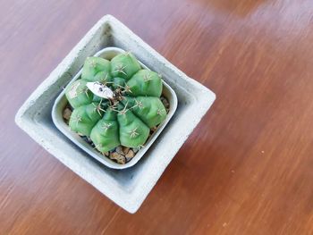 High angle view of green vegetables in plate on table