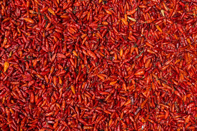 Full frame shot of red chili pepper