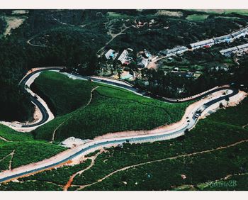 High angle view of road amidst trees