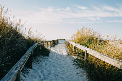 Footpath leading towards sea against sky