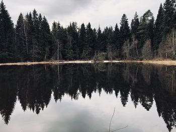 Reflection of trees in lake against sky in forest