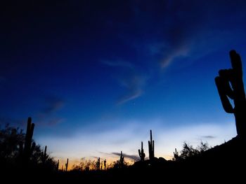 Low angle view of silhouette trees against sky