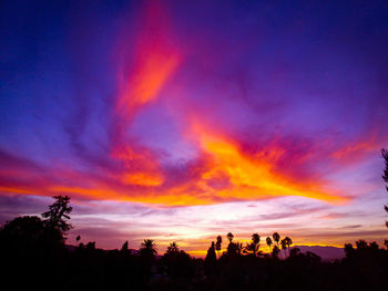 Low angle view of silhouette trees against dramatic sky