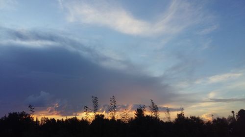 Silhouette of trees against sky at sunset