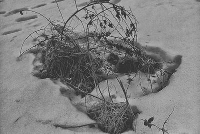 High angle view of fishing net on beach