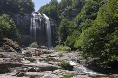 Scenic view of waterfall in forest