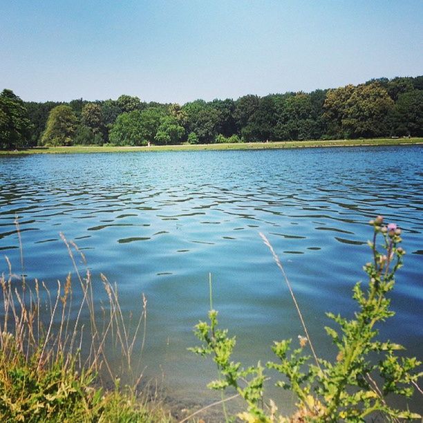 water, lake, tranquil scene, tranquility, clear sky, tree, beauty in nature, plant, scenics, nature, reflection, blue, growth, rippled, river, day, idyllic, lakeshore, forest, outdoors