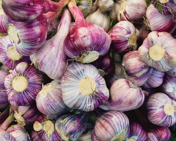 Full frame shot of food for sale