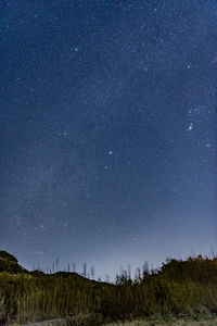 Low angle view of star field against sky