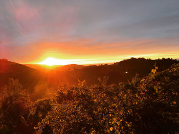 Scenic view of sunset