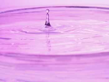 Close-up of water drops on white background