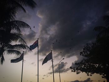 Low angle view of trees against cloudy sky