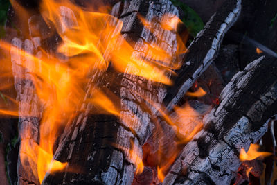 Close-up of fire on log