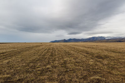 Scenic view of field against sky