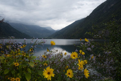 Scenic view of lake and mountains against sky
