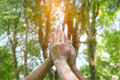 Low section of woman against trees in forest