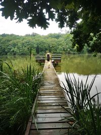 Rear view of footbridge over lake against trees