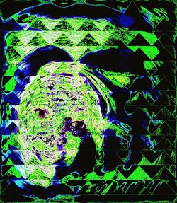 Plant growing in the dark