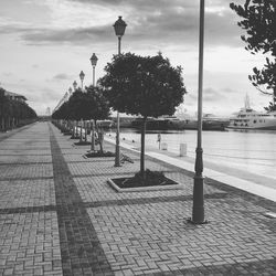 Street by trees against sky