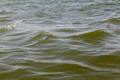 Close-up of rippled water