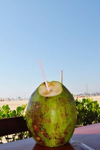 Close-up of coconut