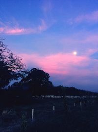 Silhouette trees on landscape against dramatic sky