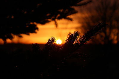 Scenic view of landscape at sunset