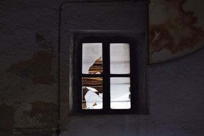 window