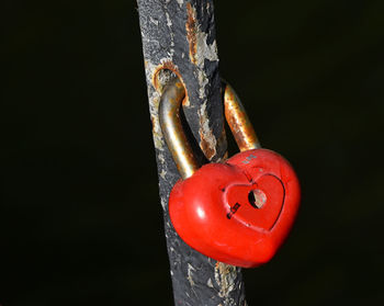 Close-up of red object over white background