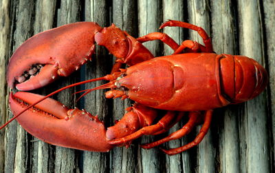 Close-up of lobster on wood