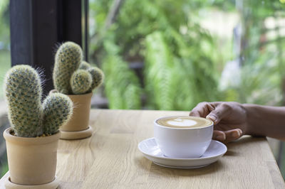 Coffee cup and potted plant on table