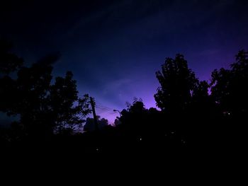 Low angle view of silhouette trees against sky at night