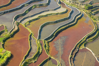 Yuanyang rice terrace, yunnan, china