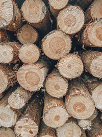 Full frame shot of logs in forest