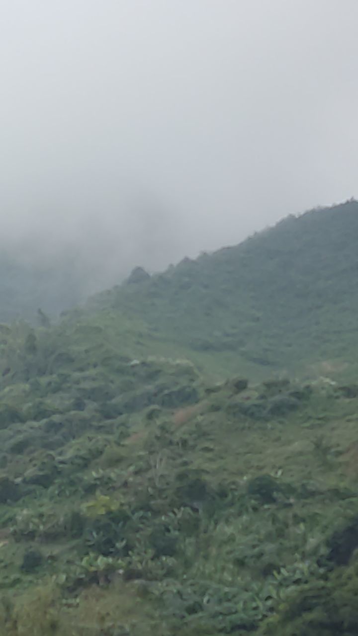 water, nature, beauty in nature, terrain, no people, day, sea, scenics - nature, fog, outdoors, land, tranquility, environment, motion, cliff, coast, green, panoramic, tranquil scene