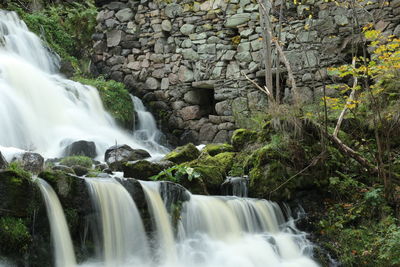 Low angle view of waterfall in forest