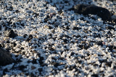 Full frame shot of pebbles